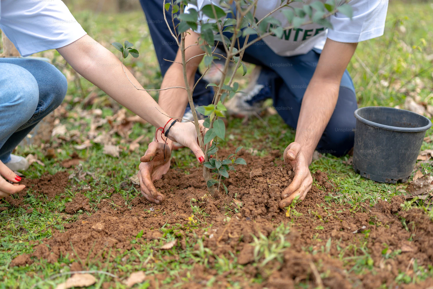 Taking Care of the World God Created